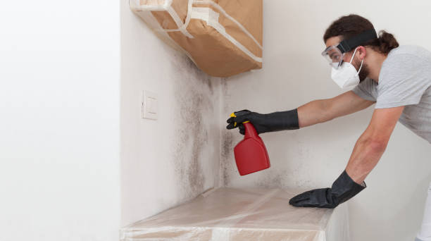 Professional Commercial Mold Remediation technician working in Teaneck, NJ