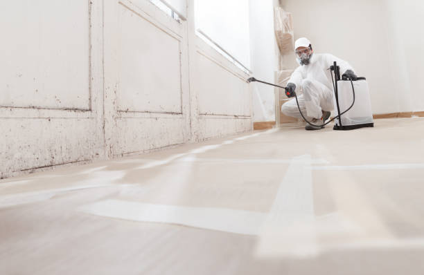 24/7 Emergency Commercial Mold Remediation experts in Teaneck, NJ