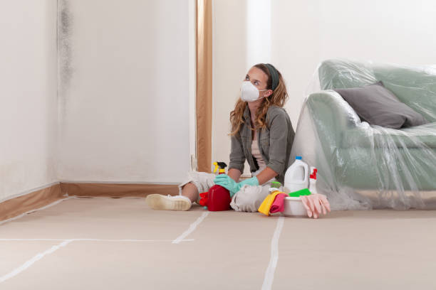 Reliable Commercial Mold Remediation contractor in Teaneck, NJ by WQB Mold Removal